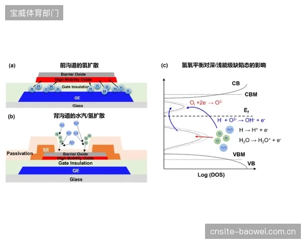 达沃斯TokoRaceWax学院的课程革新：摩擦系数电化学测定法已成为认证打蜡师的核心技能